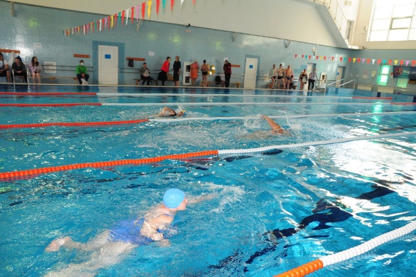 Соревнования по плаванию пройдут в «Касатке»
